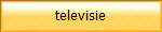 televisie